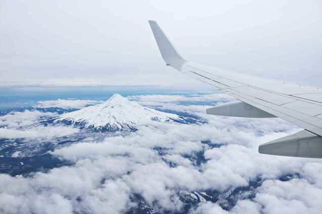 胖狗狗的空中冒險(xiǎn)之旅